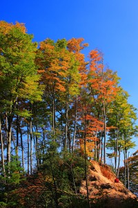 夺冠之争愈加激烈，豪强对攻誓要获胜！