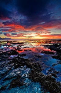 福州黄龙队员实力出众，战胜对手取胜