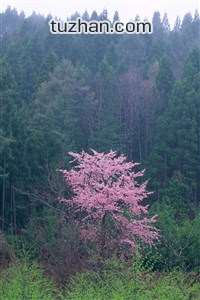 大学生篮球联赛决赛即将上演强队争夺冠军