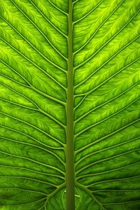 广州恒大与重庆当代足球队争夺胜利